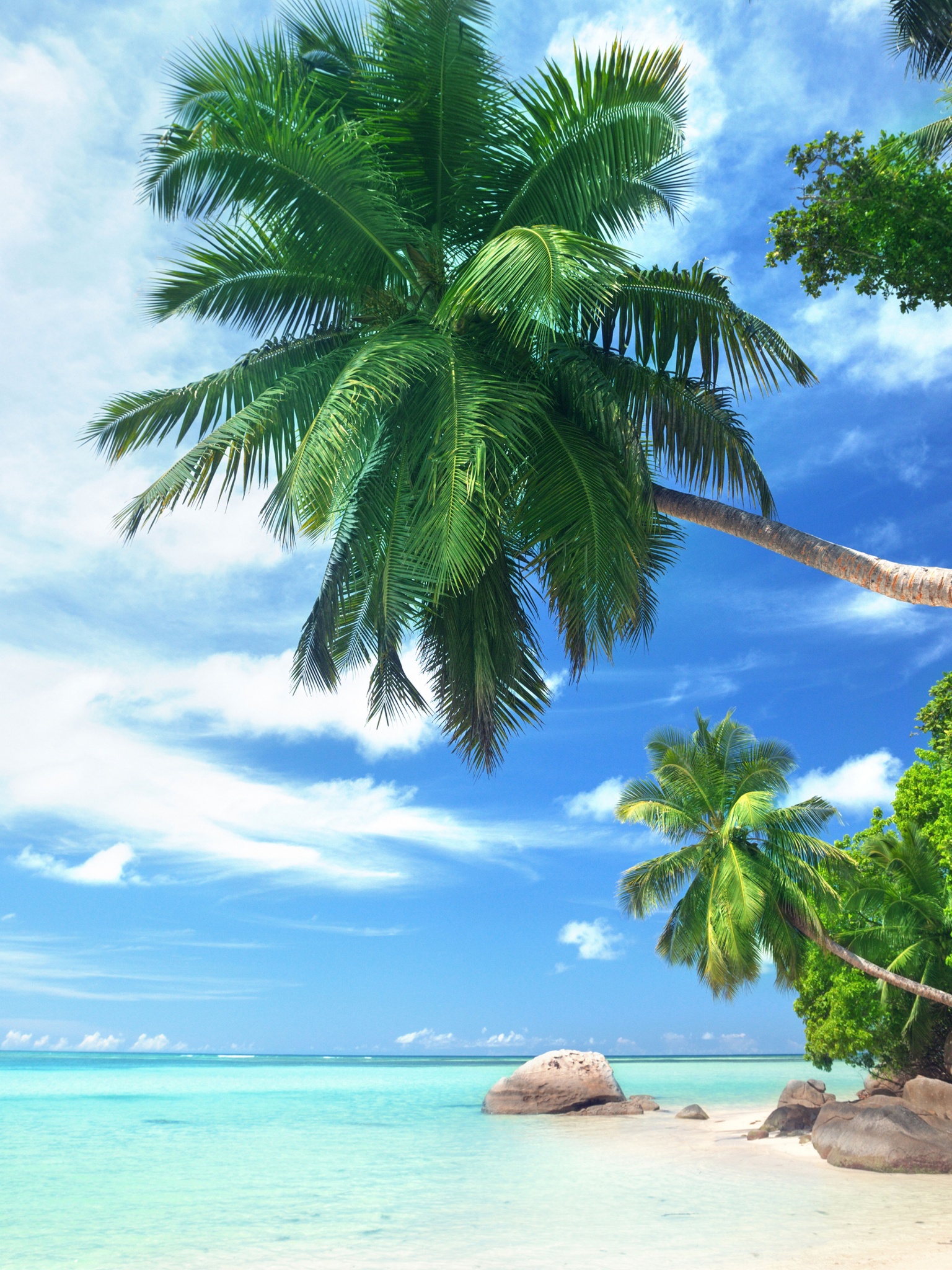 Landscape Tropical Beach And Ocean