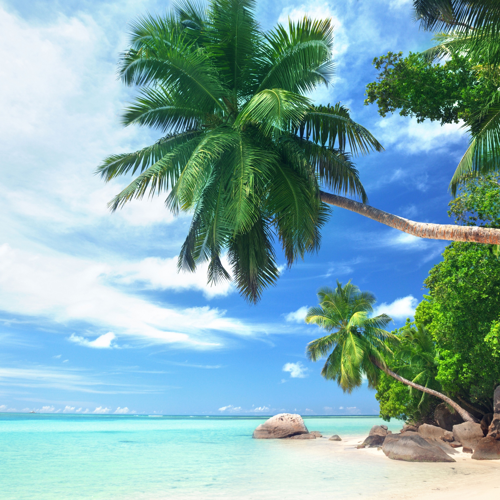 Landscape Tropical Beach And Ocean