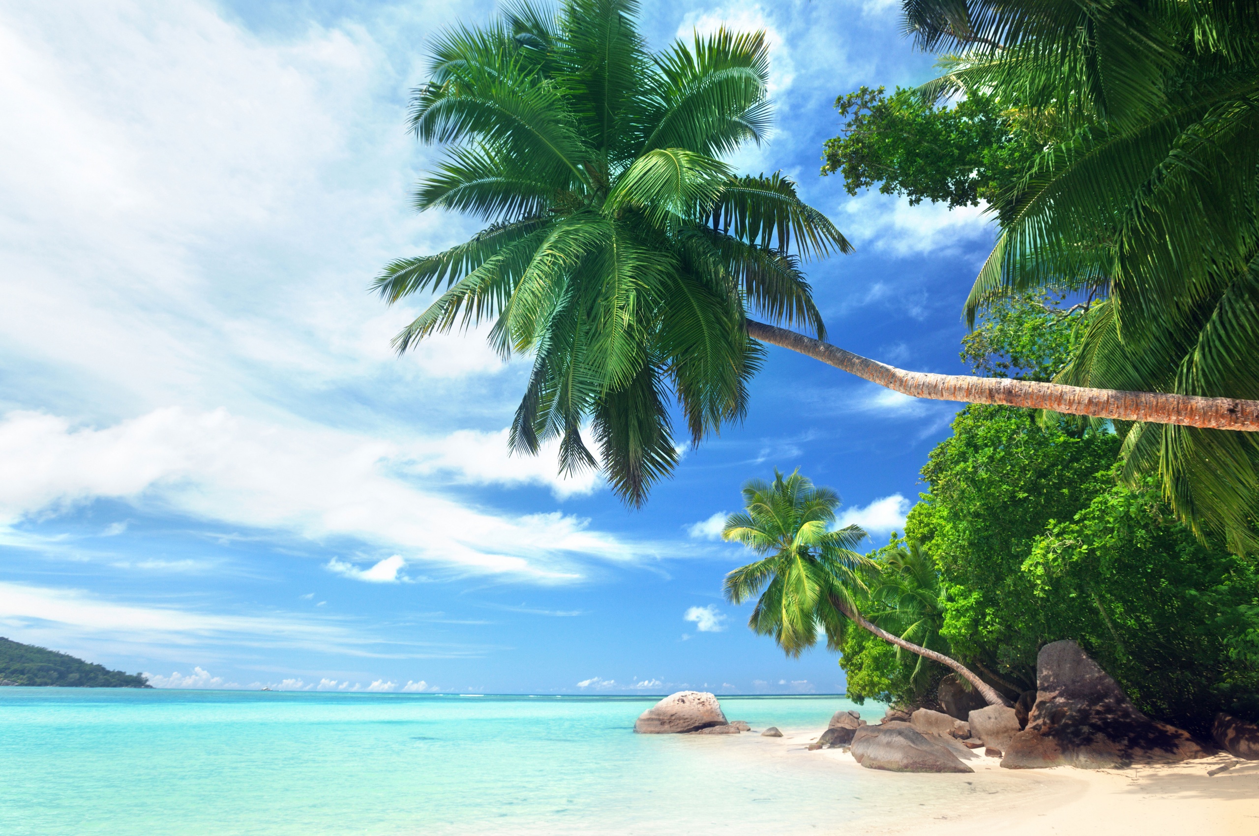 Landscape Tropical Beach And Ocean