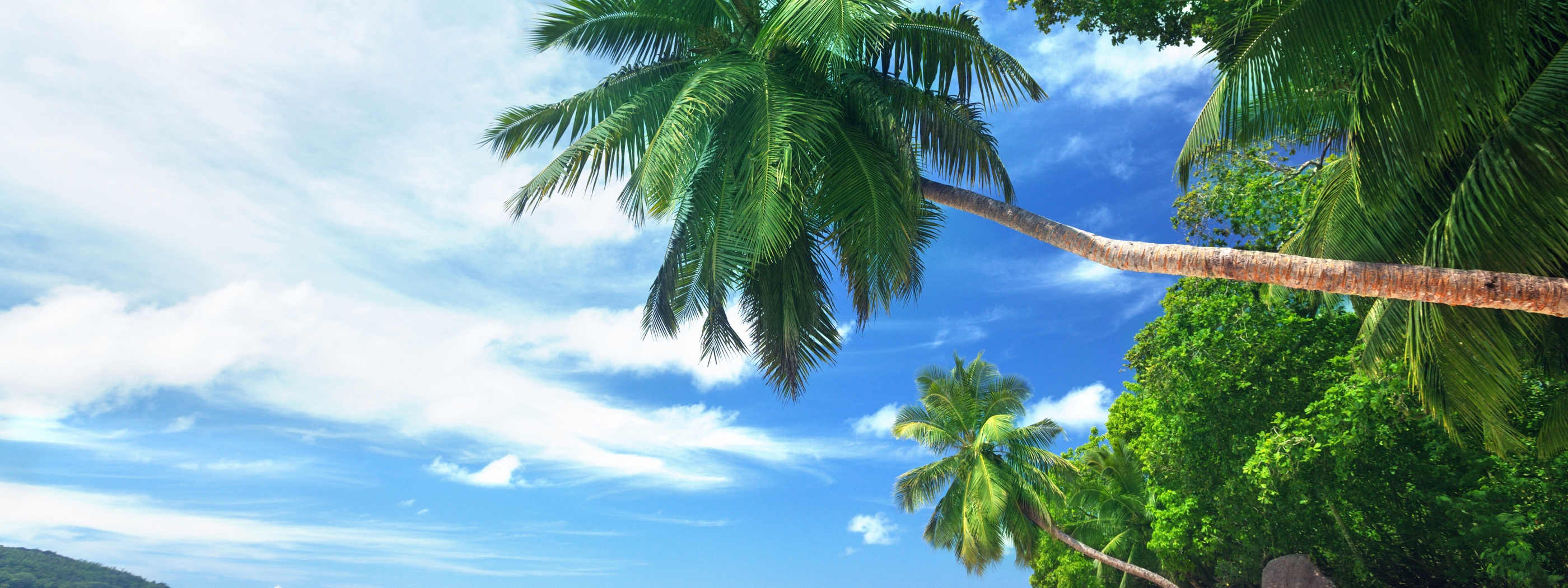 Landscape Tropical Beach And Ocean