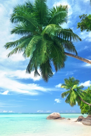 Landscape Tropical Beach And Ocean