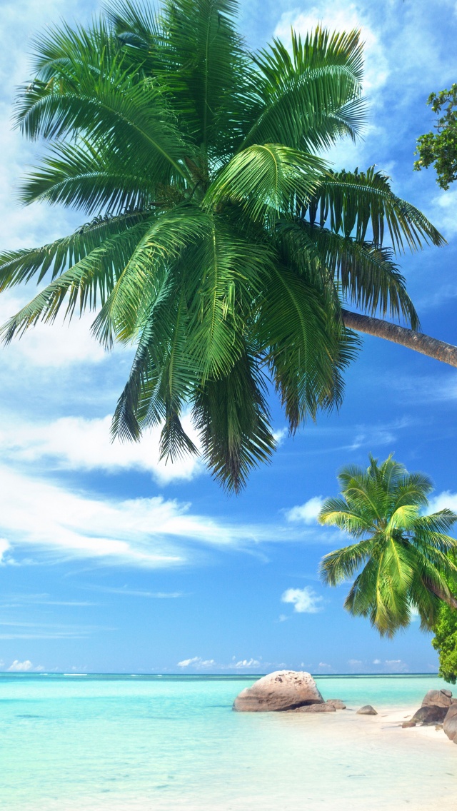 Landscape Tropical Beach And Ocean