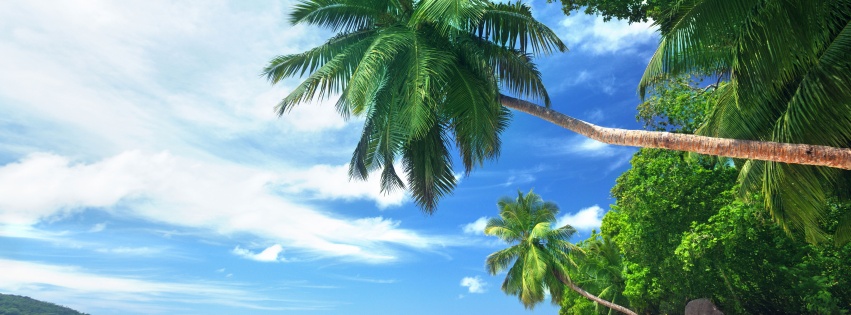 Landscape Tropical Beach And Ocean