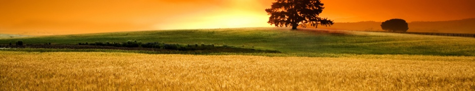 Last Evening Hour