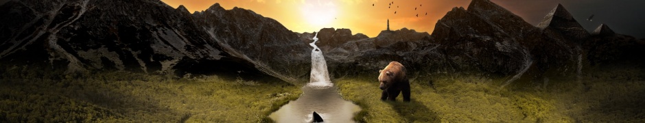 Last Oasis Creative Animal Oasis