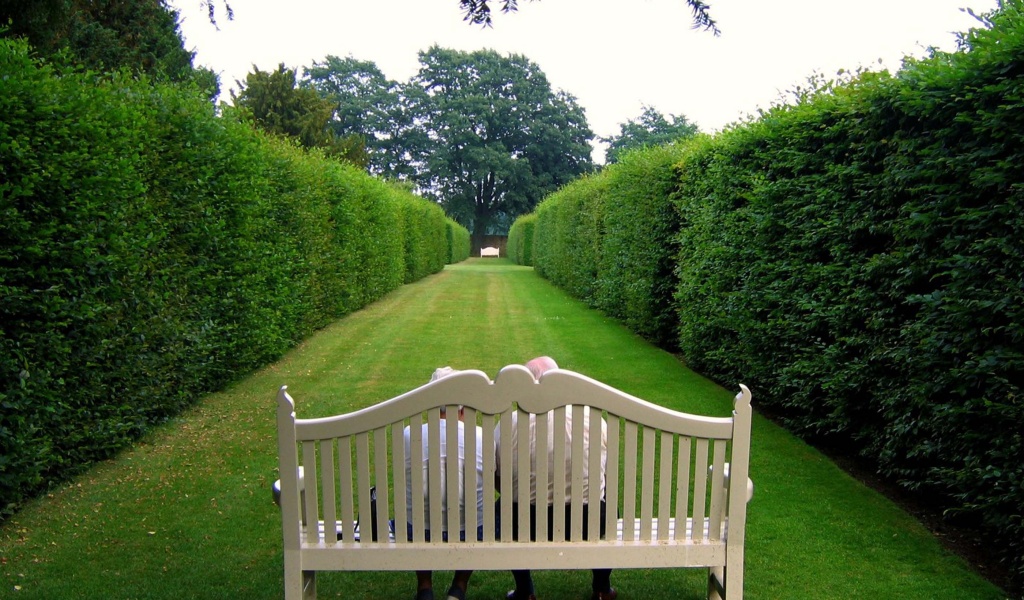 Lawn Stool Old People