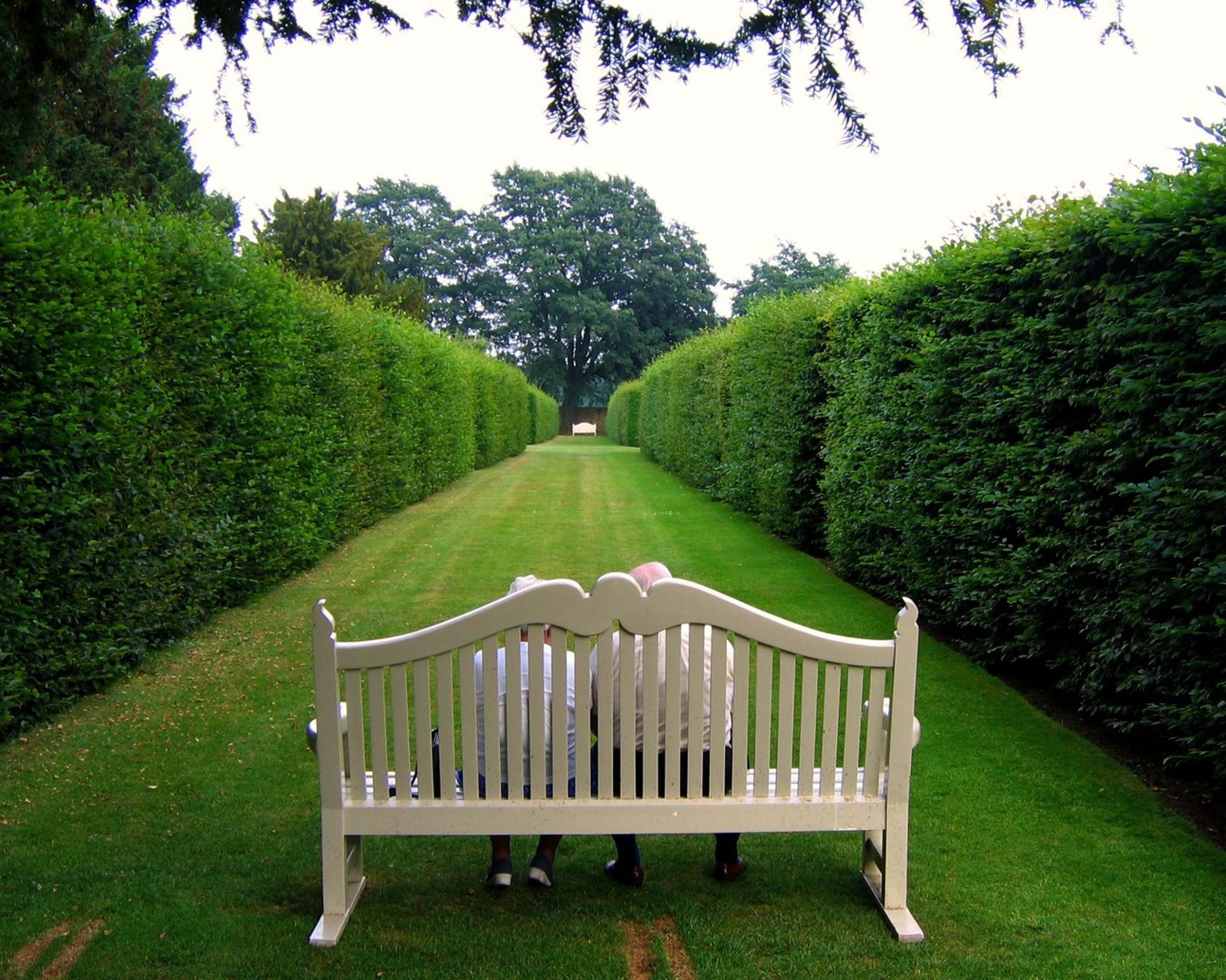 Lawn Stool Old People