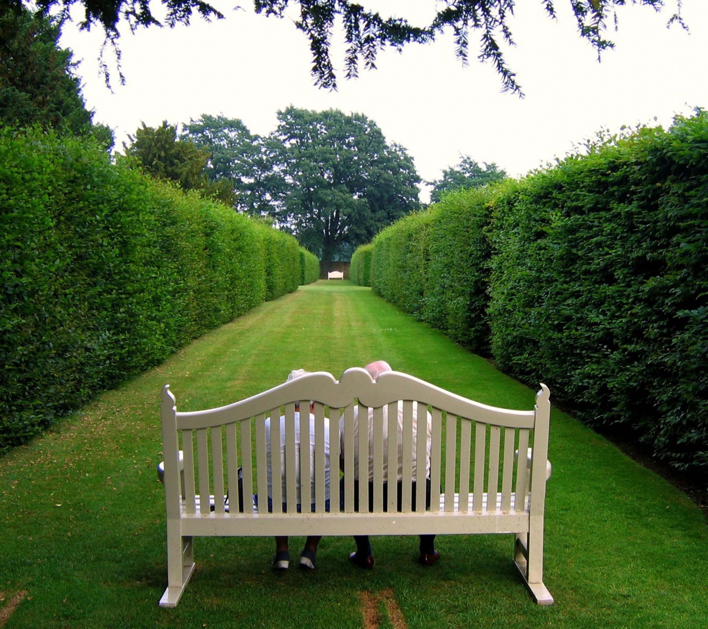 Lawn Stool Old People