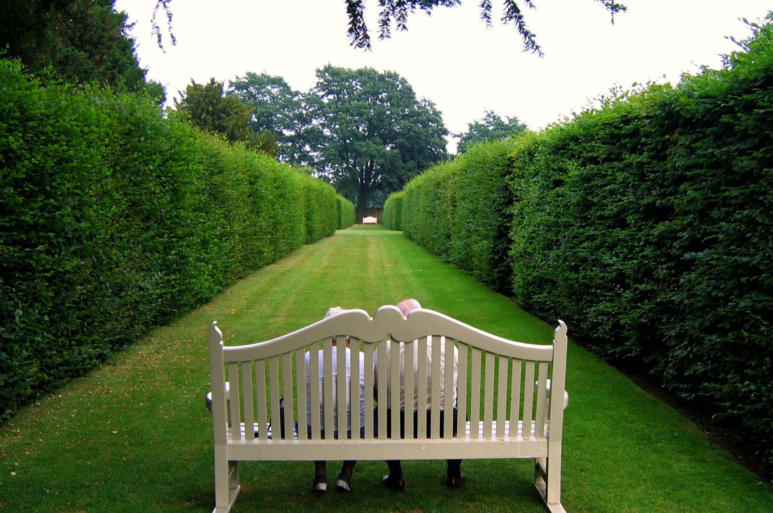 Lawn Stool Old People