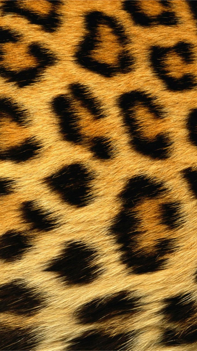 Leopard Skin Texture