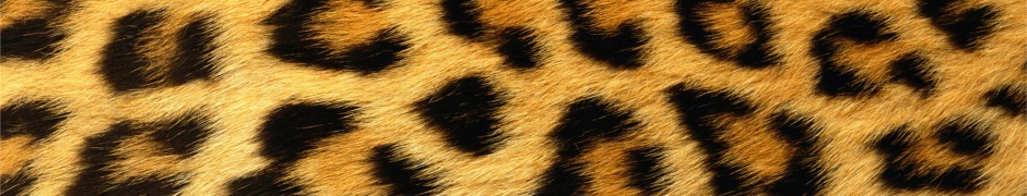 Leopard Skin Texture