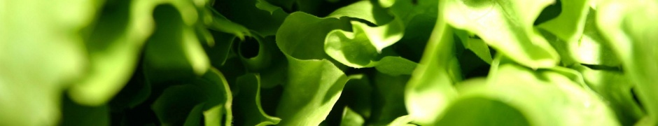 Lettuce Macro