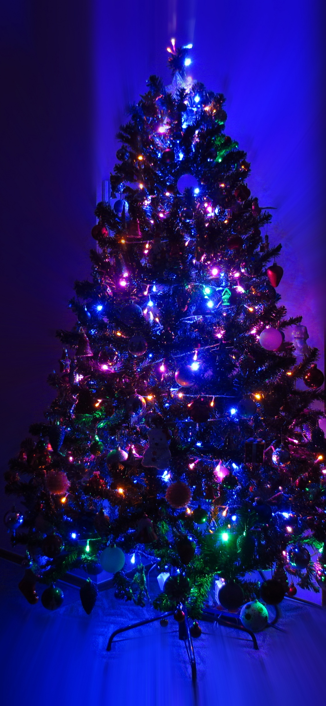 Lighting Christmas Tree