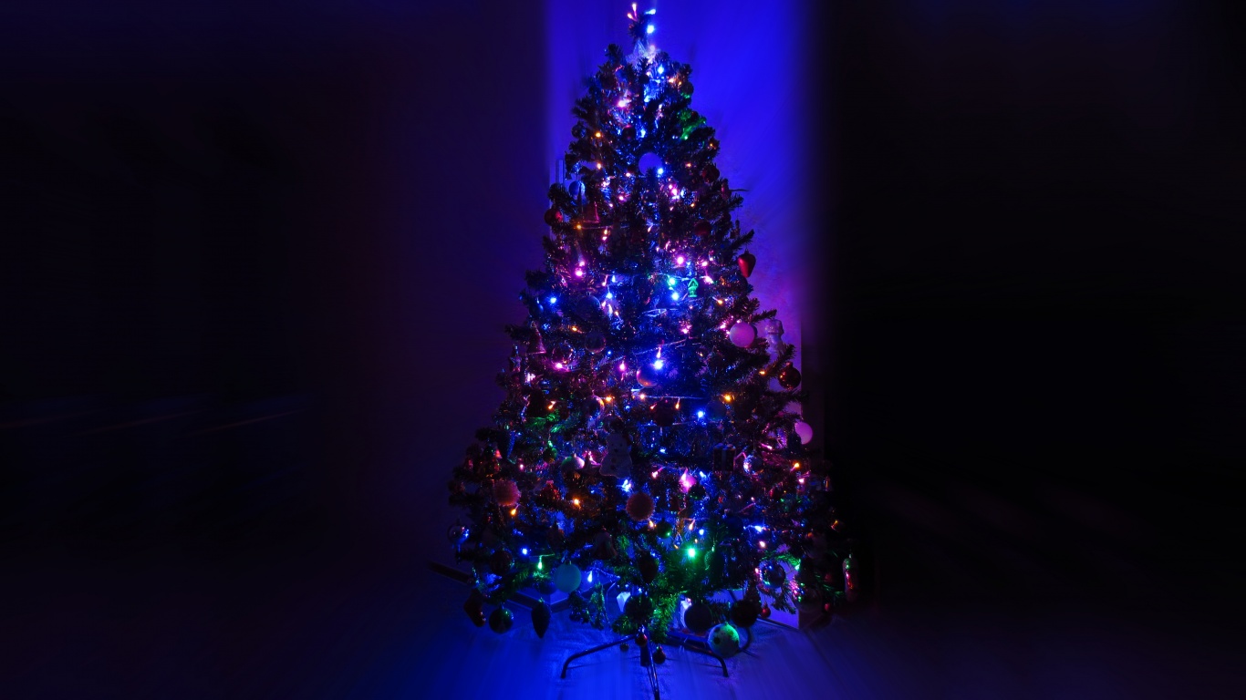 Lighting Christmas Tree