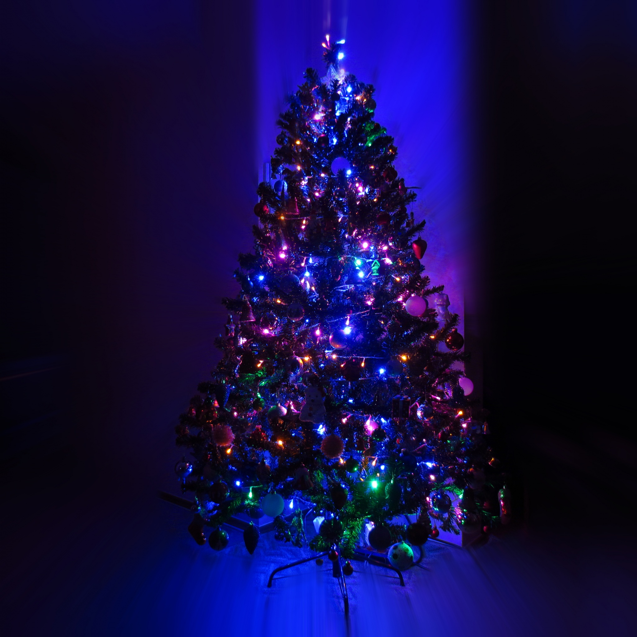 Lighting Christmas Tree