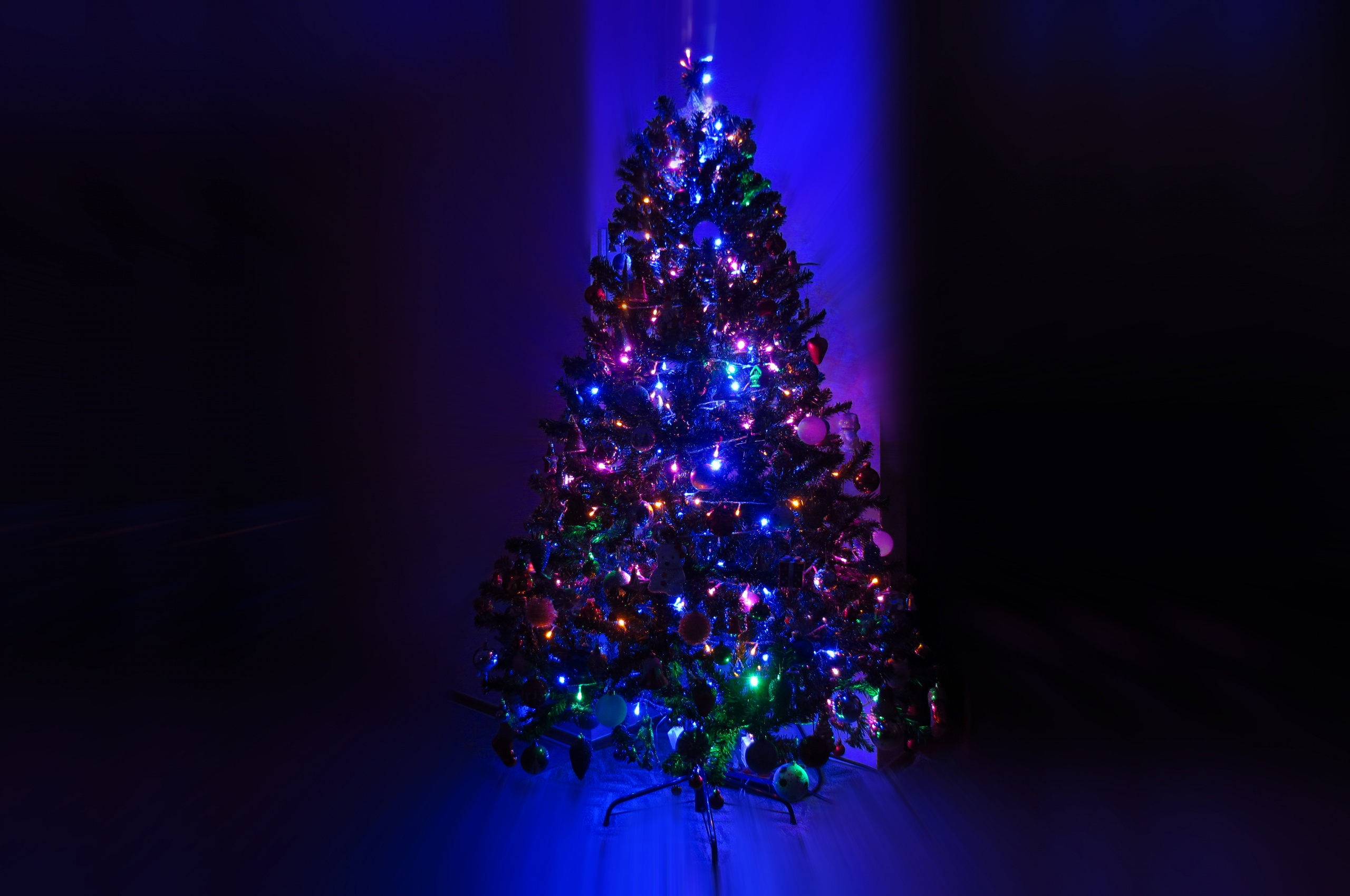 Lighting Christmas Tree