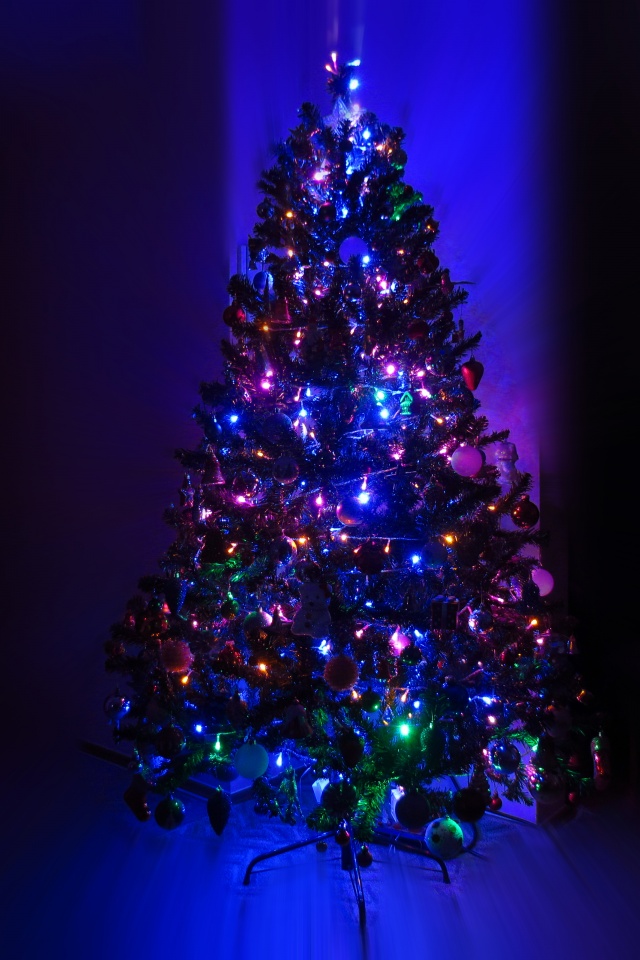 Lighting Christmas Tree