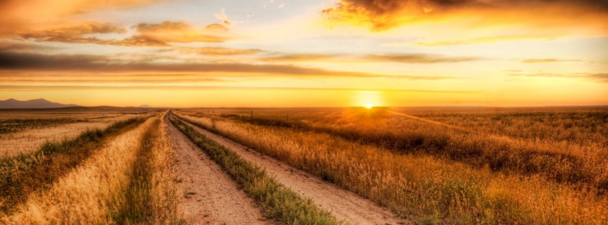 Lonely Road Nature