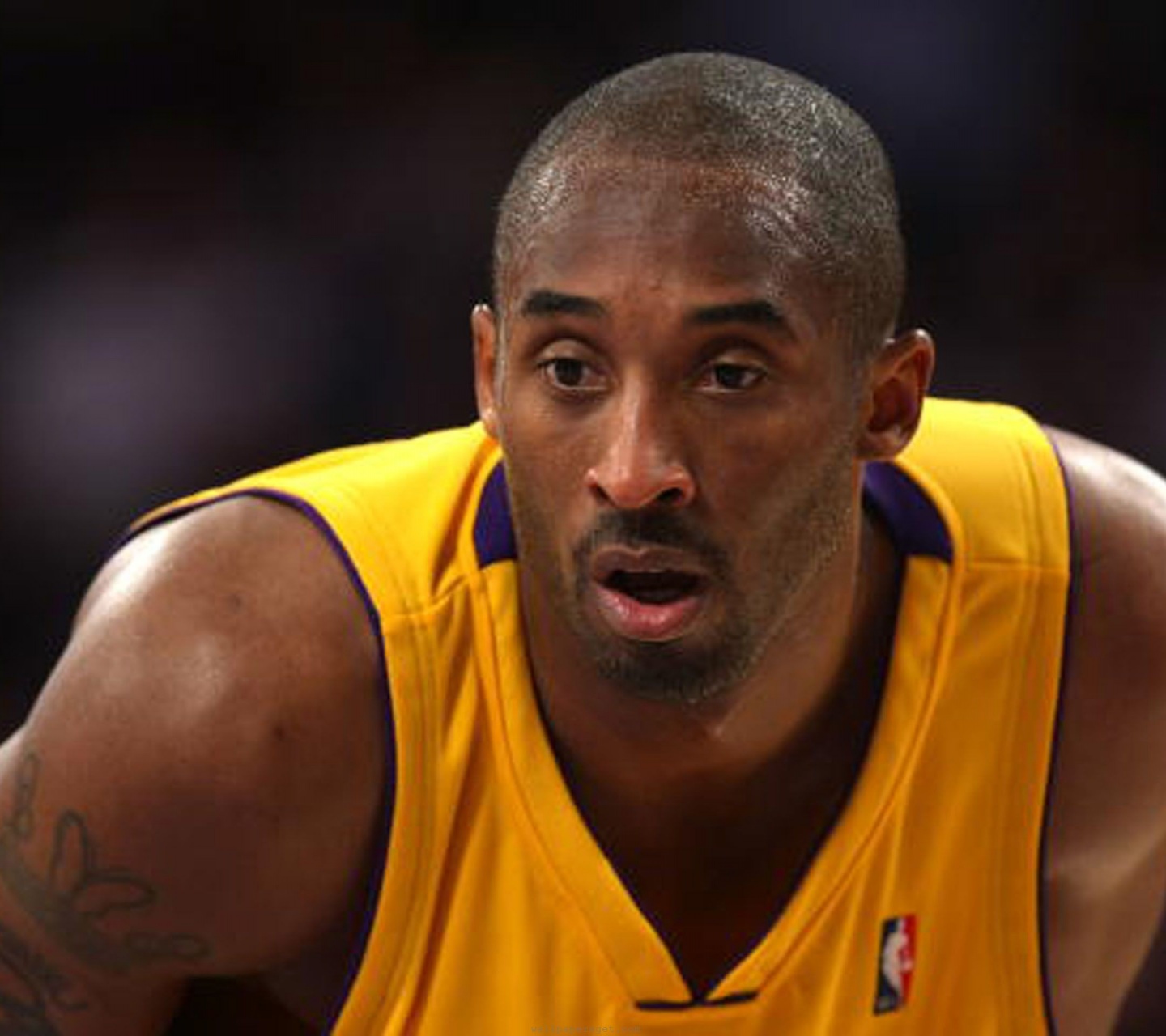 Los Angeles Lakers American Professional Basketball Kobe Bryant