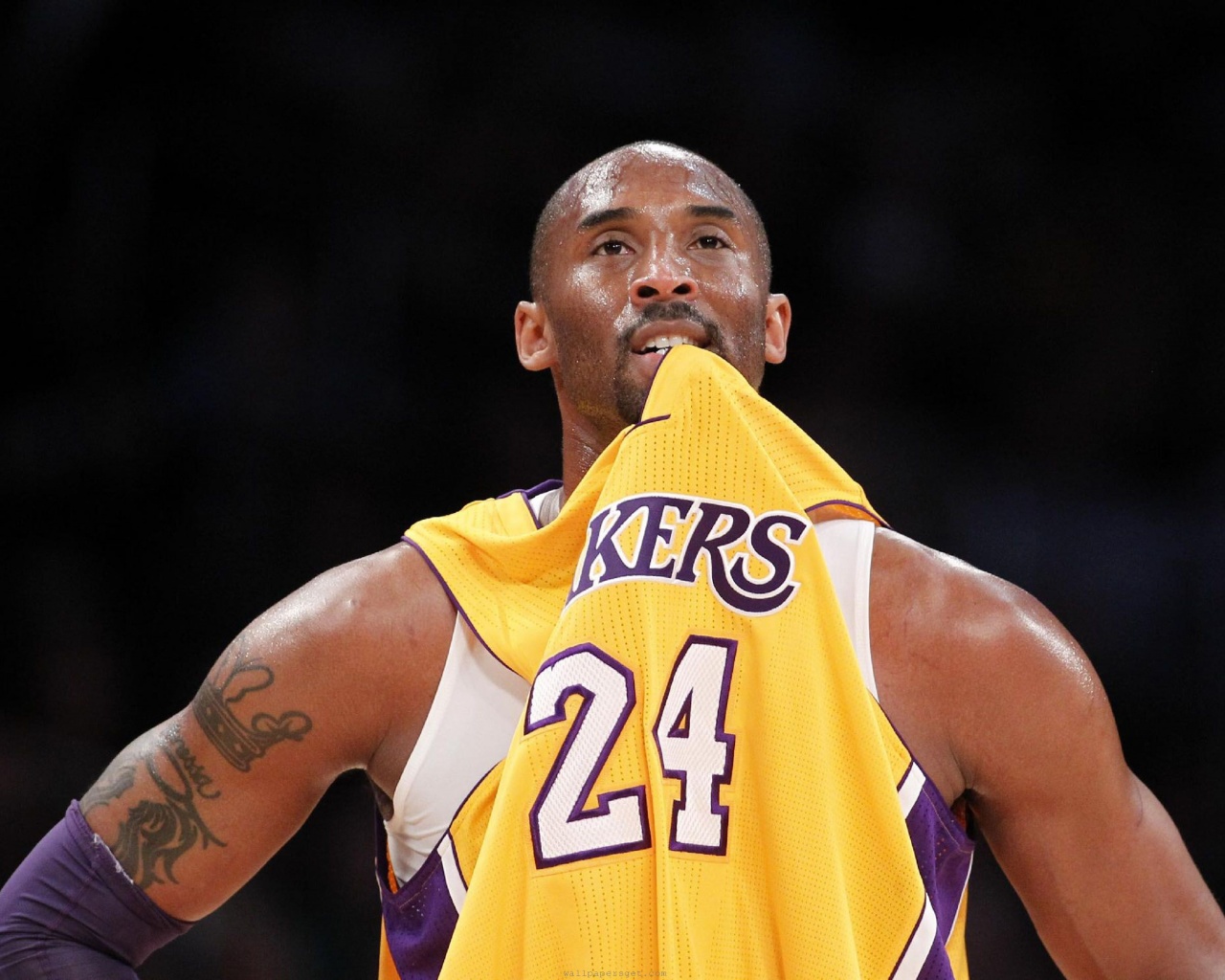 Los Angeles Lakers American Professional Basketball Kobe Bryant Black Mamba