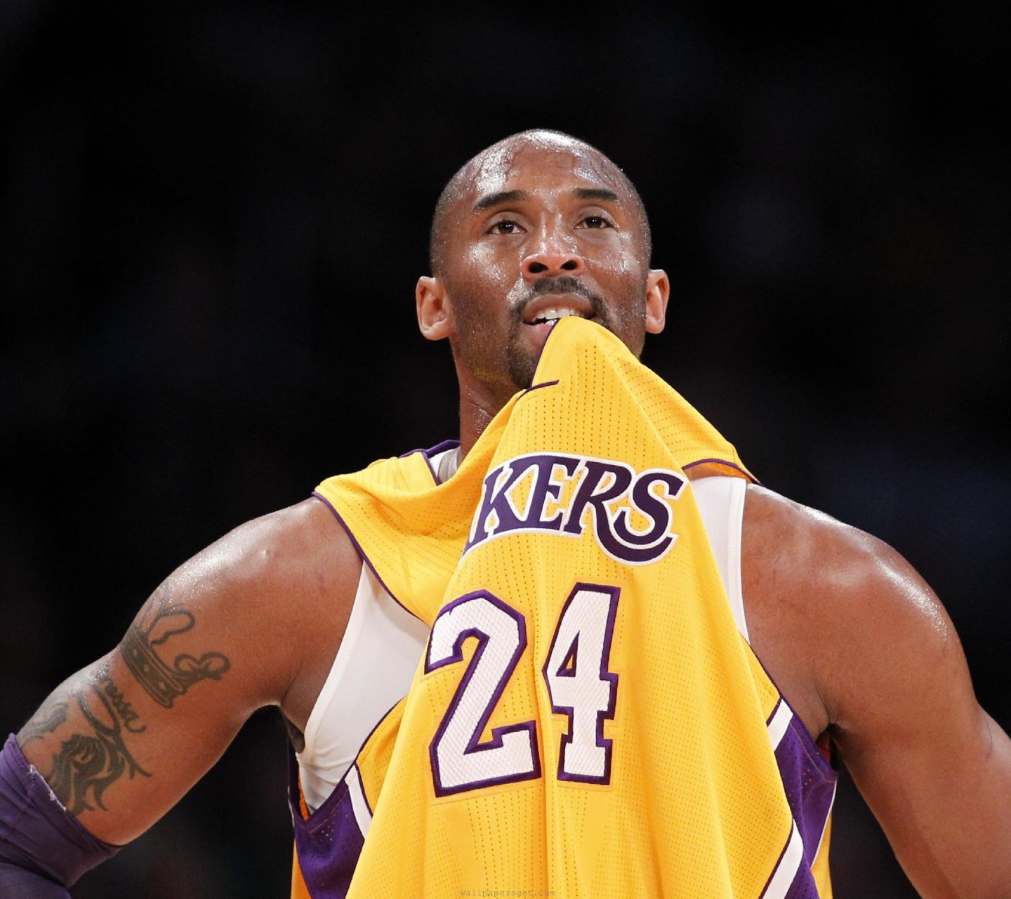 Los Angeles Lakers American Professional Basketball Kobe Bryant Black Mamba