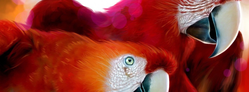 Macaw Parrot Bird