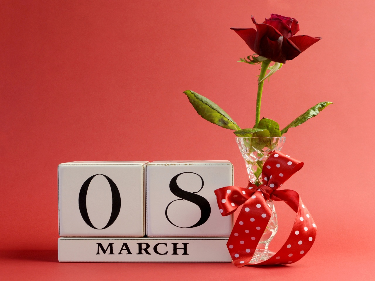 March 8 Roses Holidays