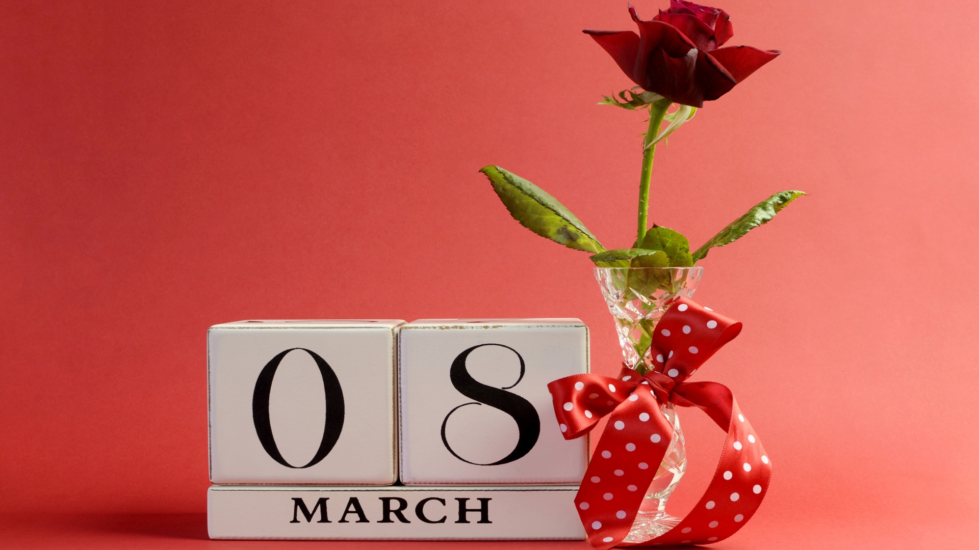 March 8 Roses Holidays