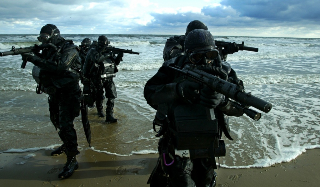 Marine Commandos