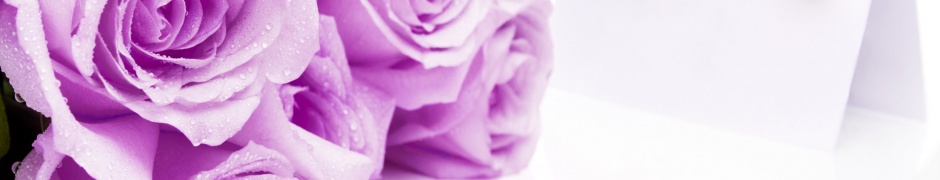 Mauve Roses