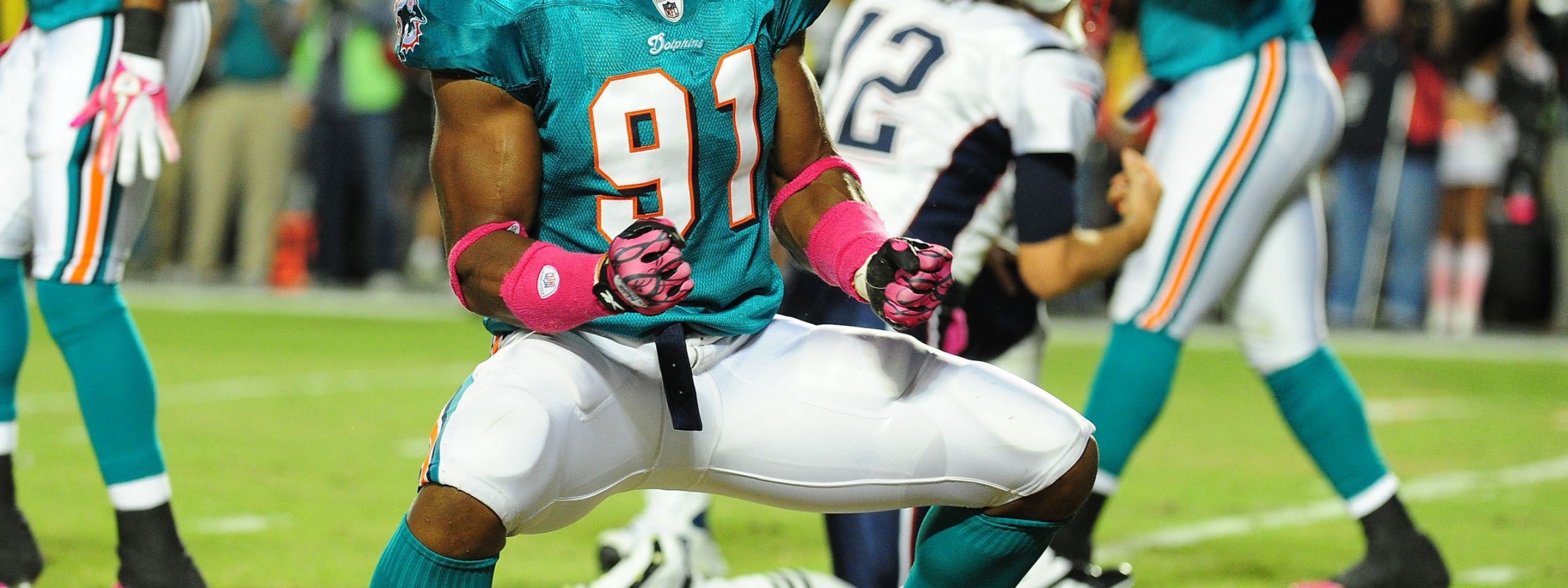 Miami Dolphins American Football Cameron Wake