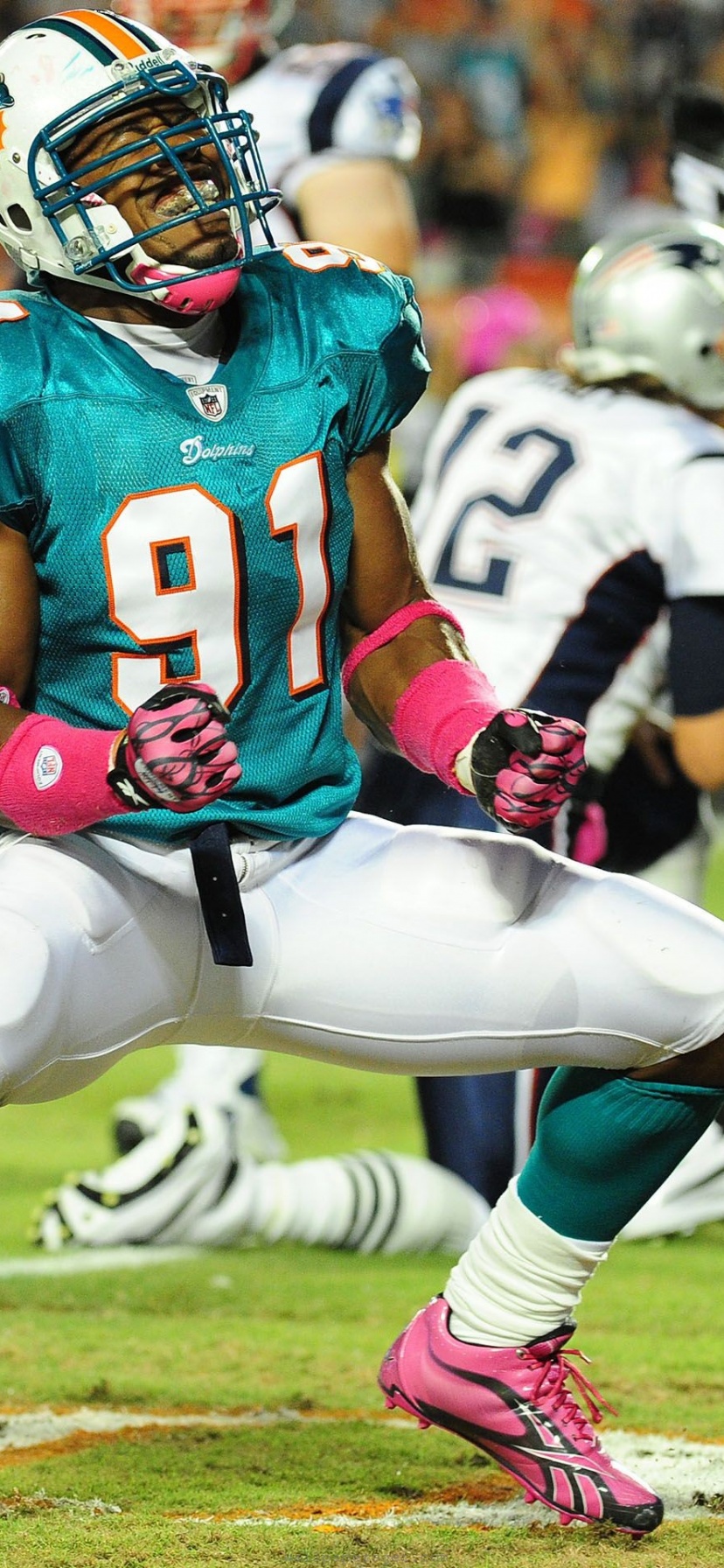 Miami Dolphins American Football Cameron Wake