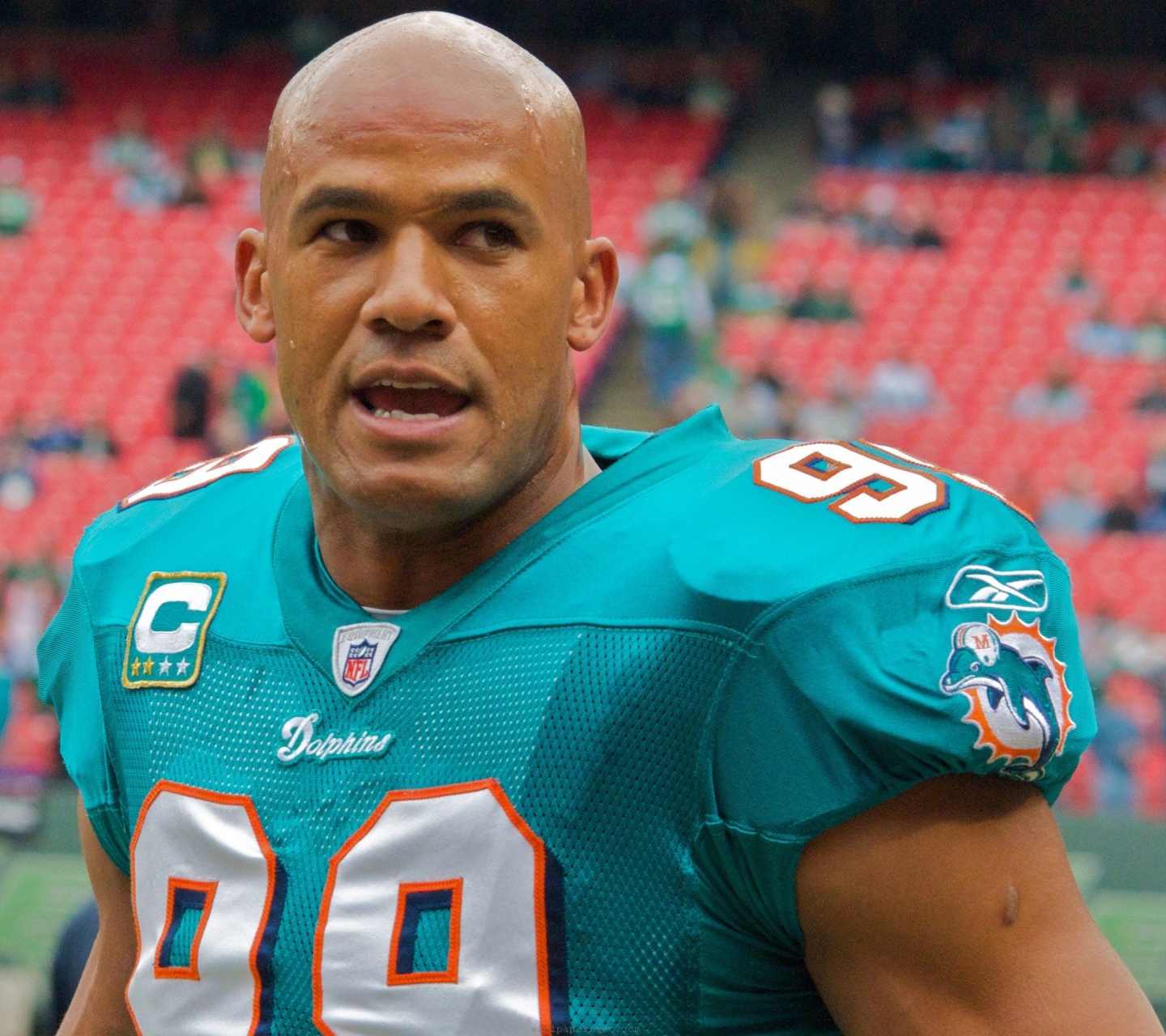 Miami Dolphins American Football Jason Taylor