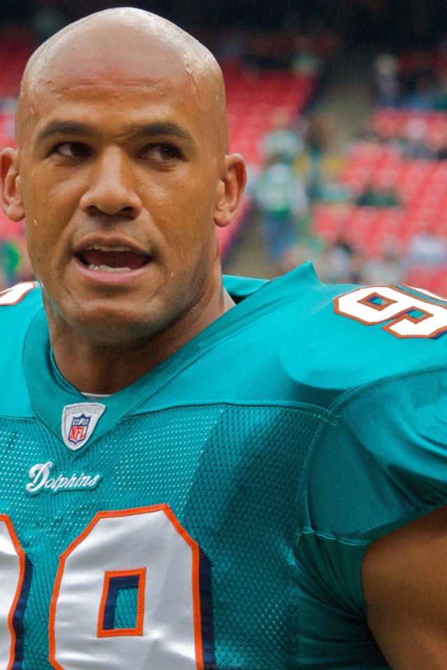 Miami Dolphins American Football Jason Taylor