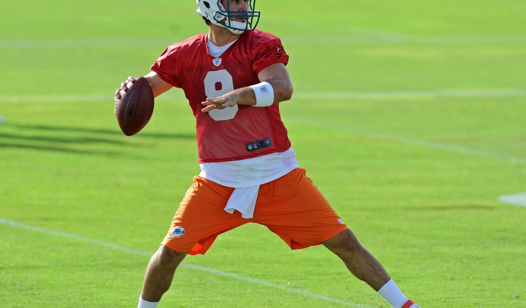 Miami Dolphins American Football Quarterback Matt Moore