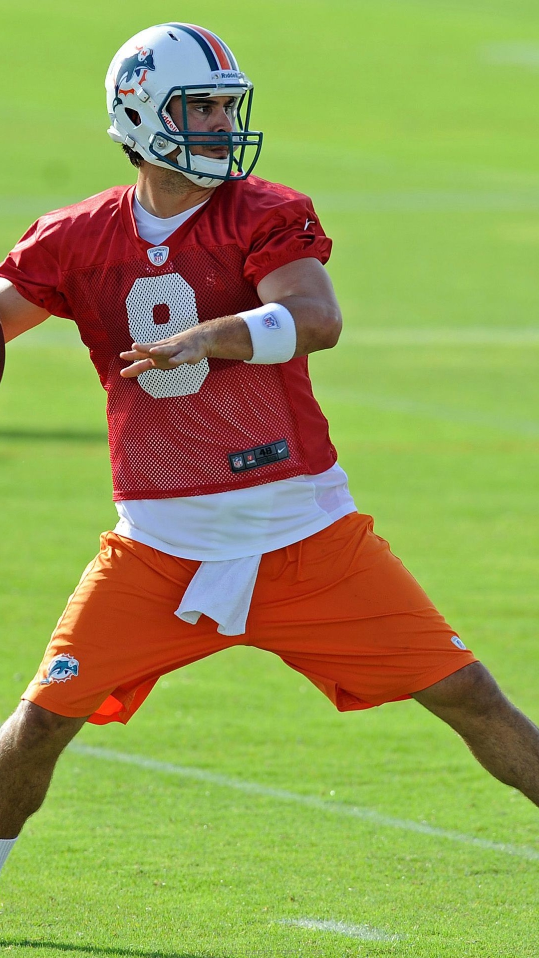 Miami Dolphins American Football Quarterback Matt Moore