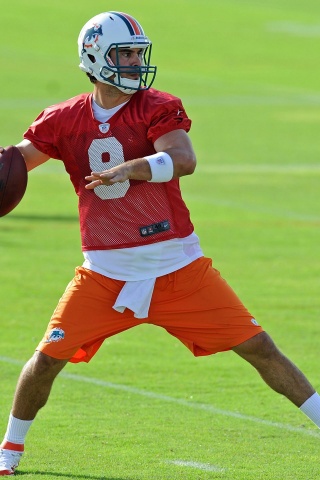 Miami Dolphins American Football Quarterback Matt Moore