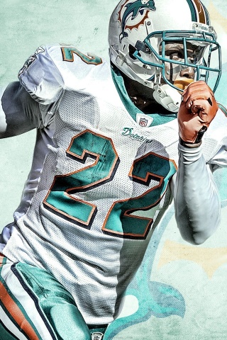 Miami Dolphins American Football Reggie Bush