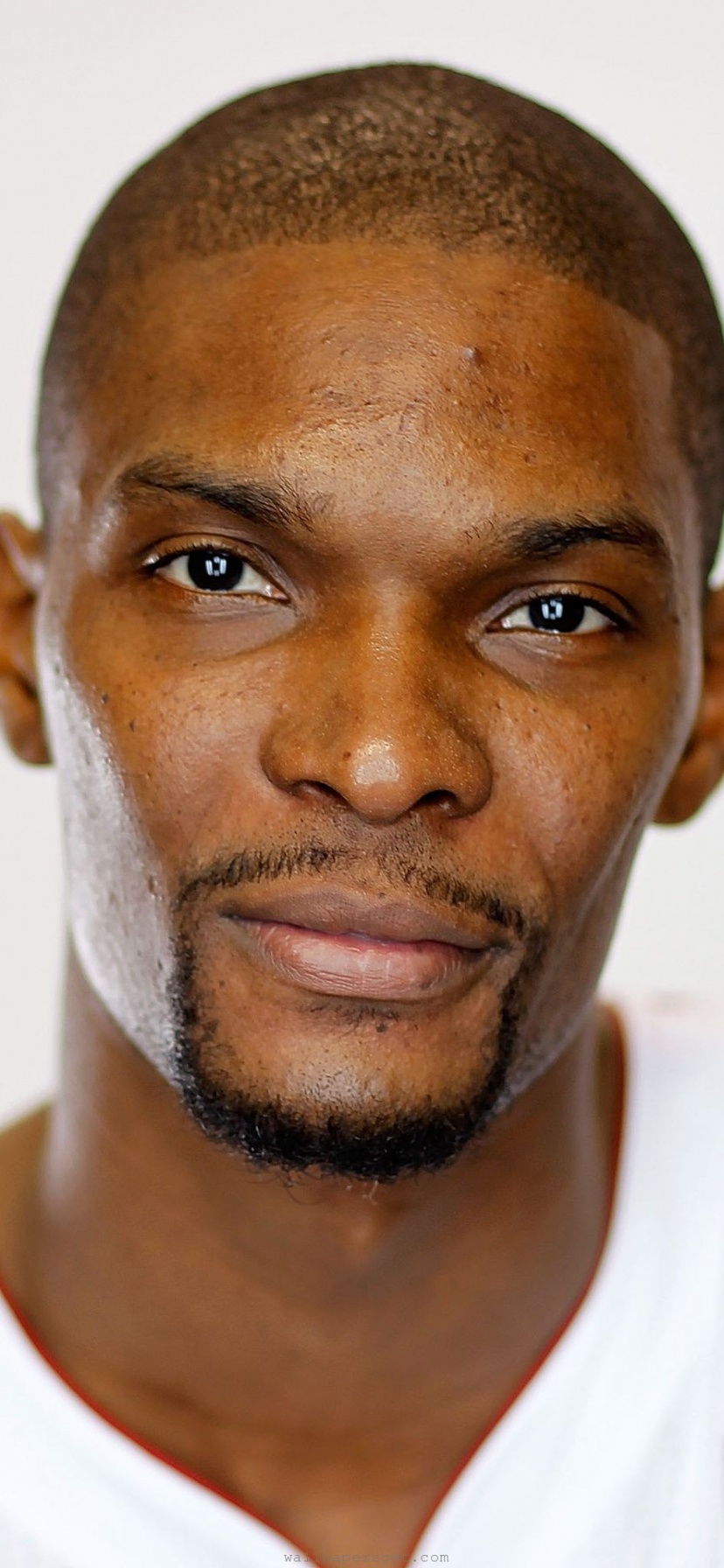 Miami Heat American Professional Basketball Power Forward Chris Bosh