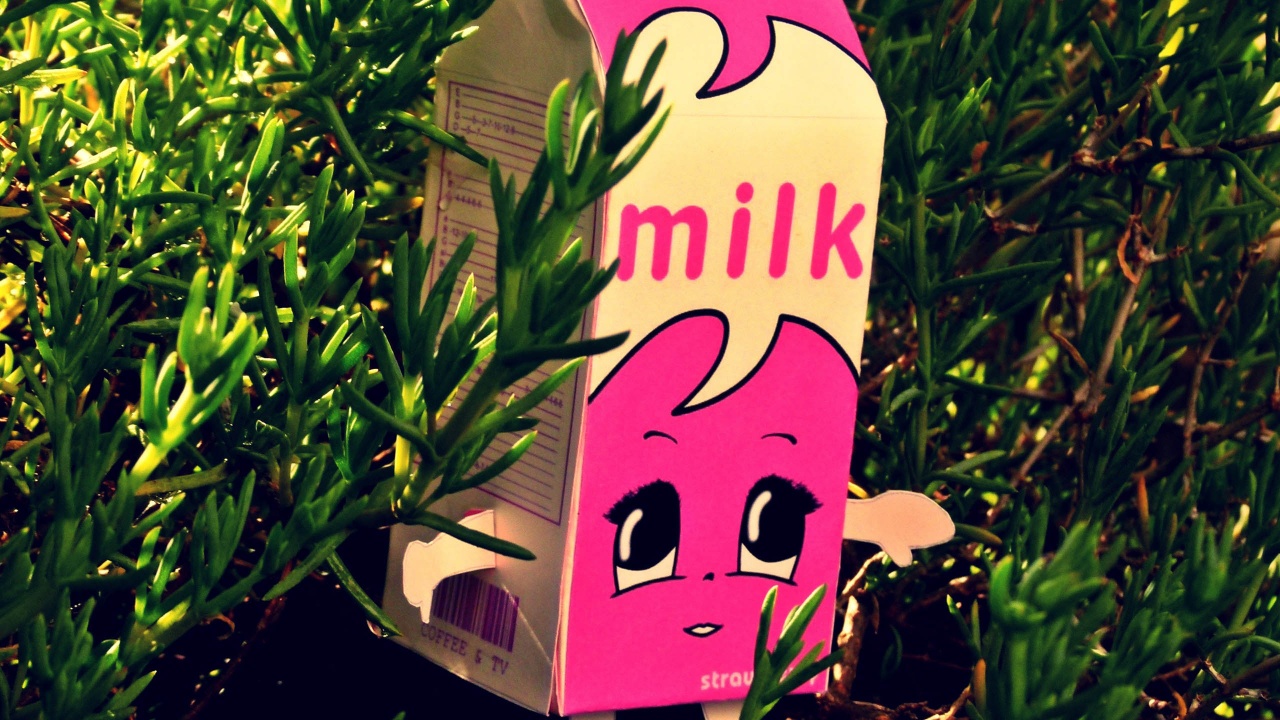 Milk Fem