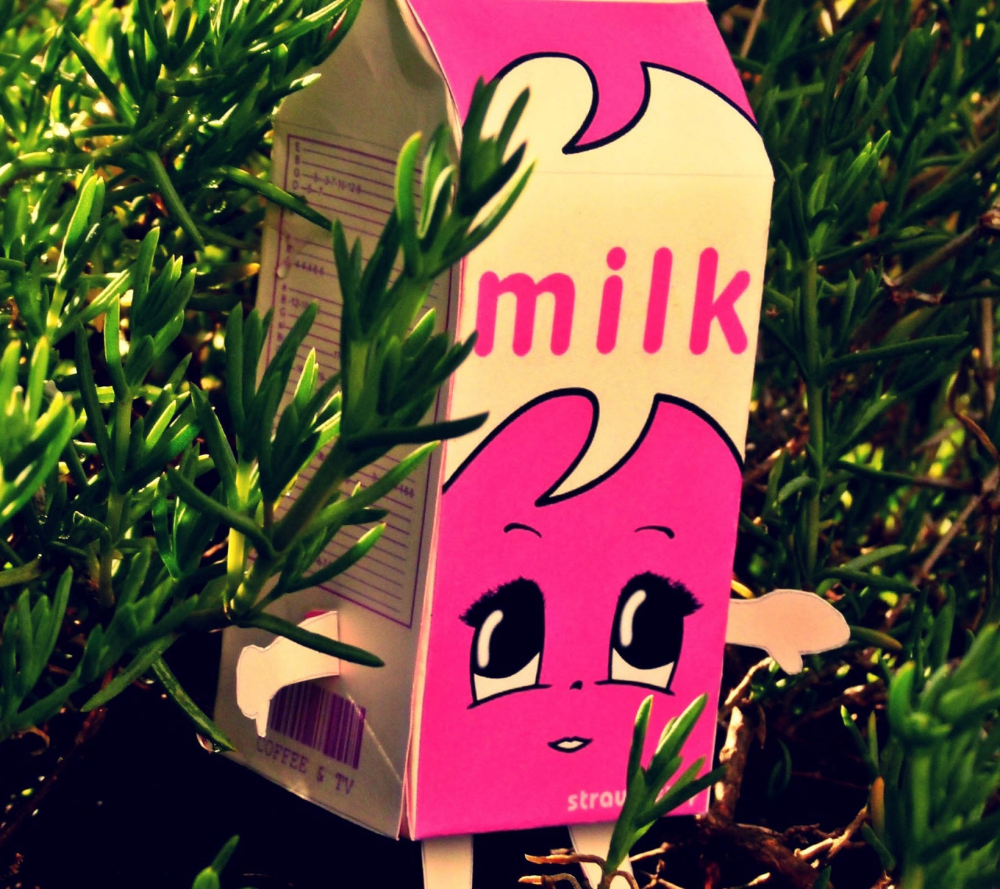 Milk Fem