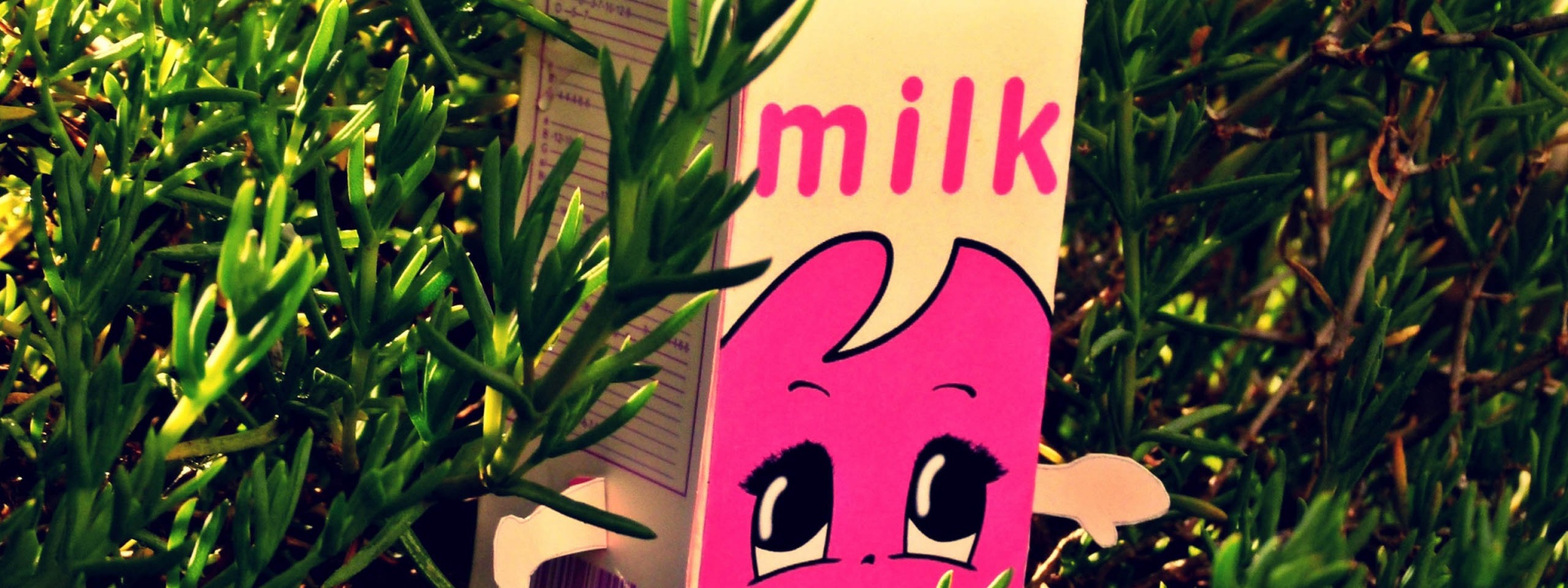 Milk Fem