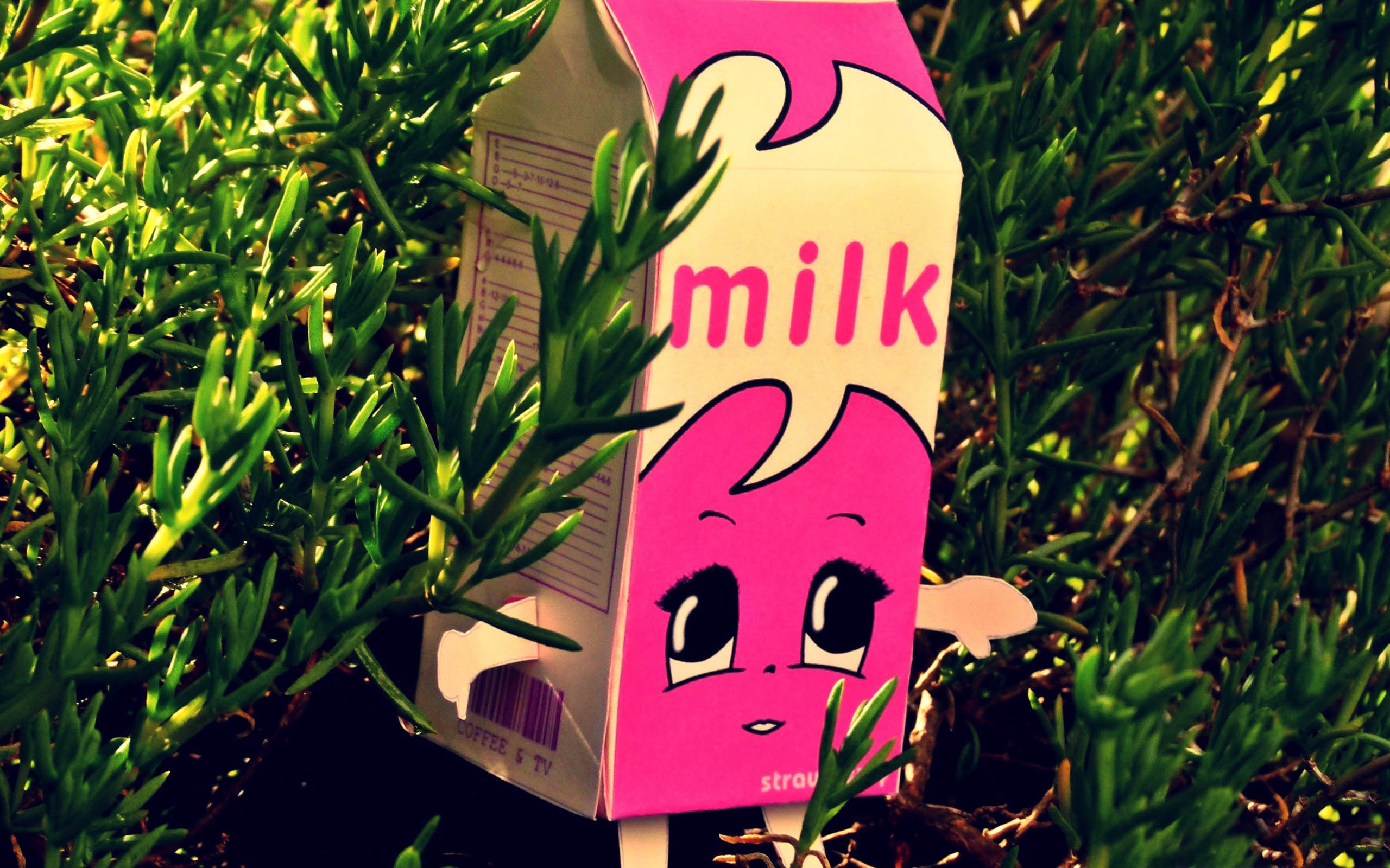 Milk Fem