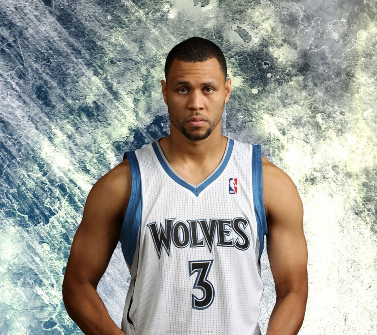 Minnesota Timberwolves Nba Brandon Roy