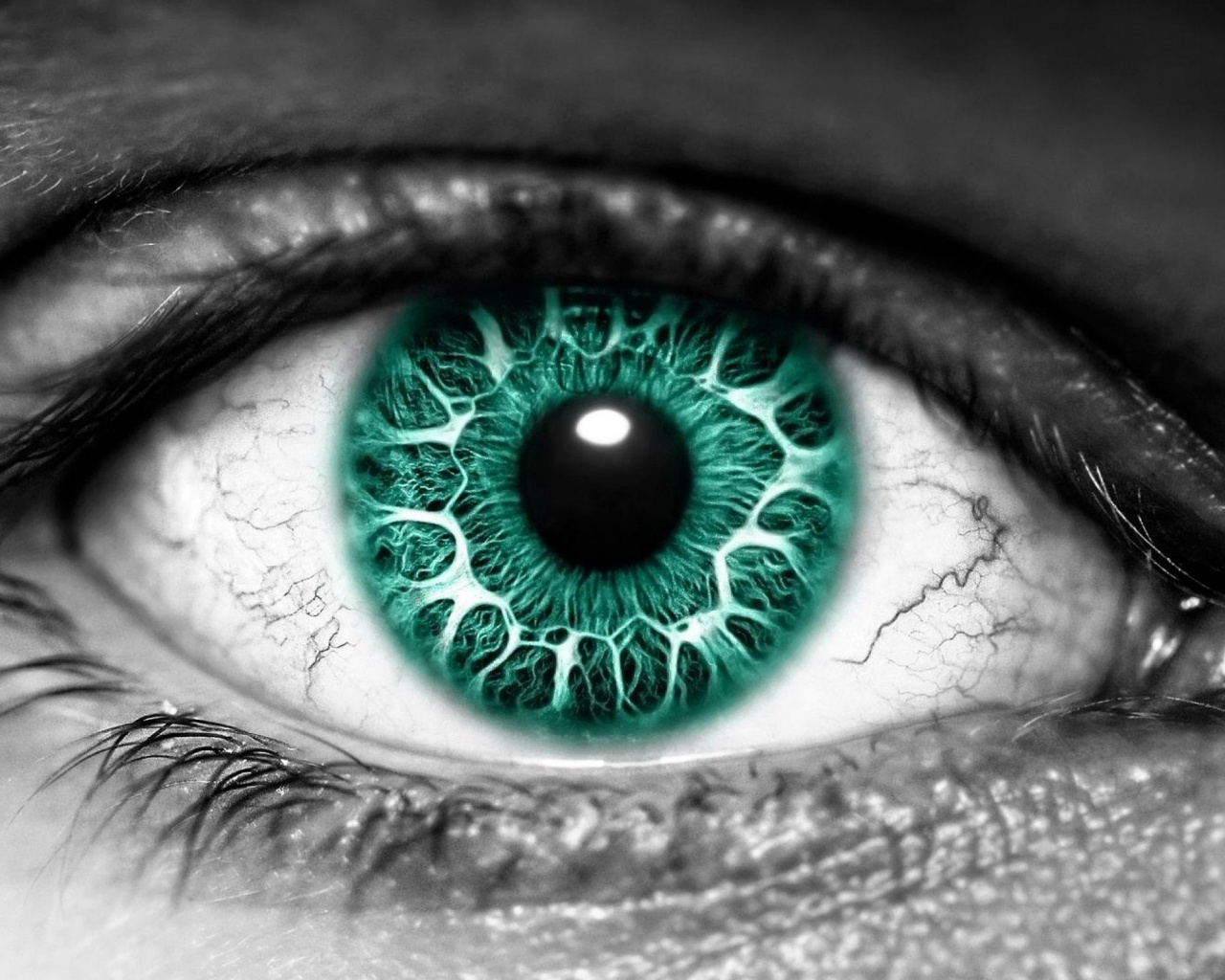 Miscellaneous Digital Art Eyes