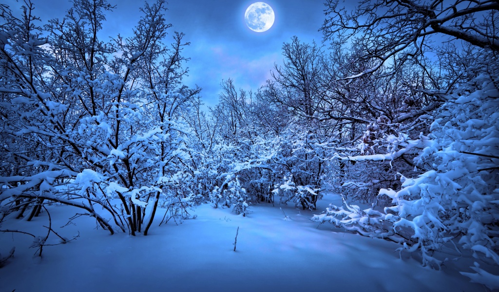 Moonlight On The Snowy Woods