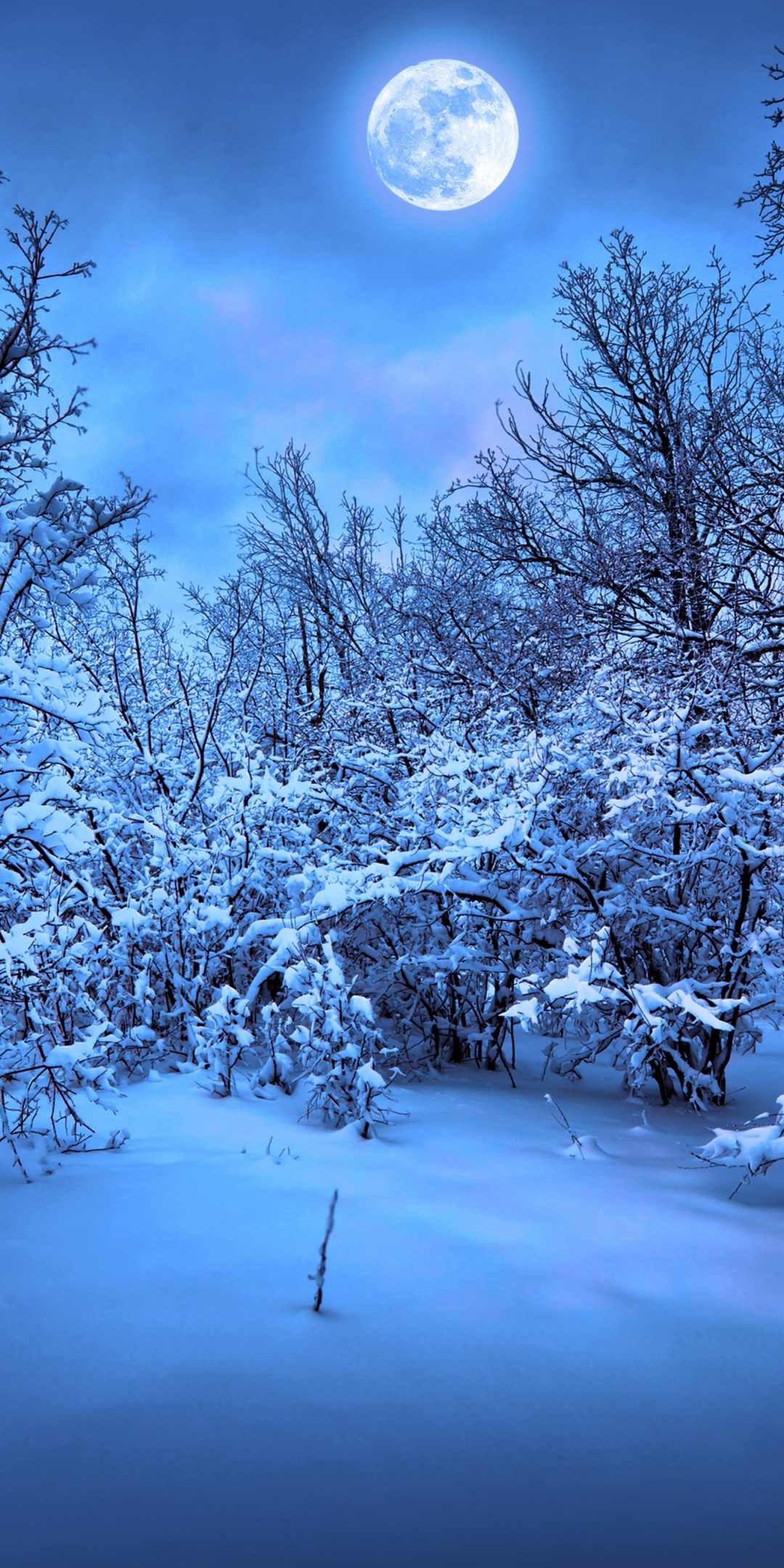 Moonlight On The Snowy Woods