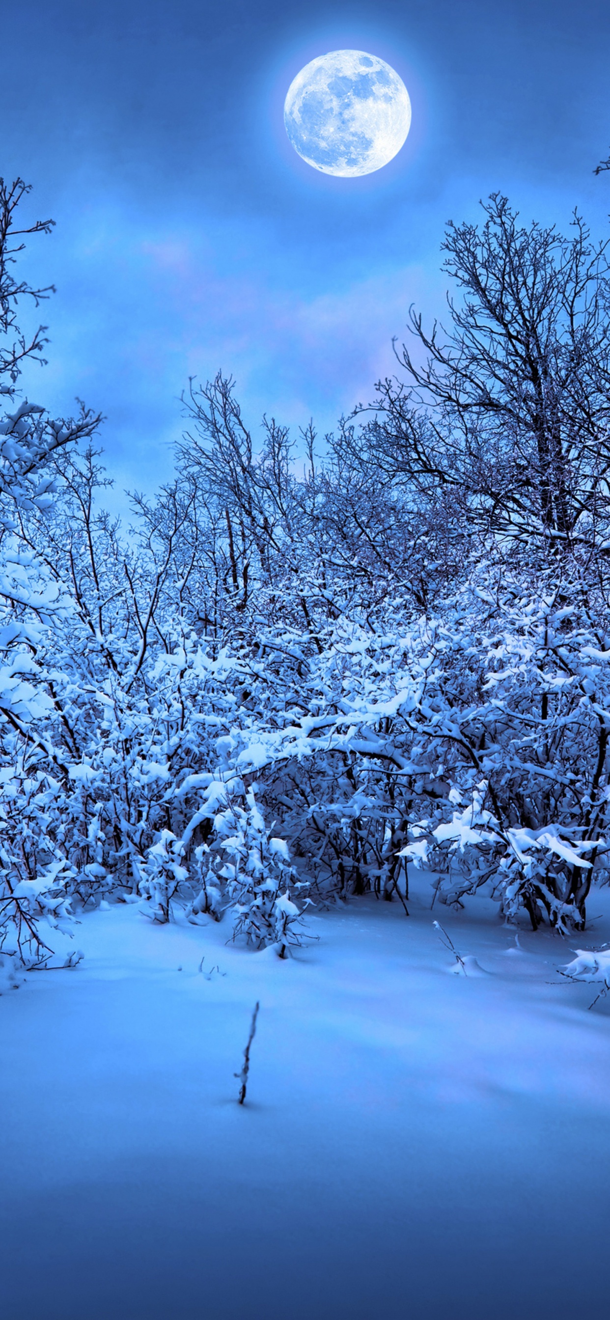 Moonlight On The Snowy Woods