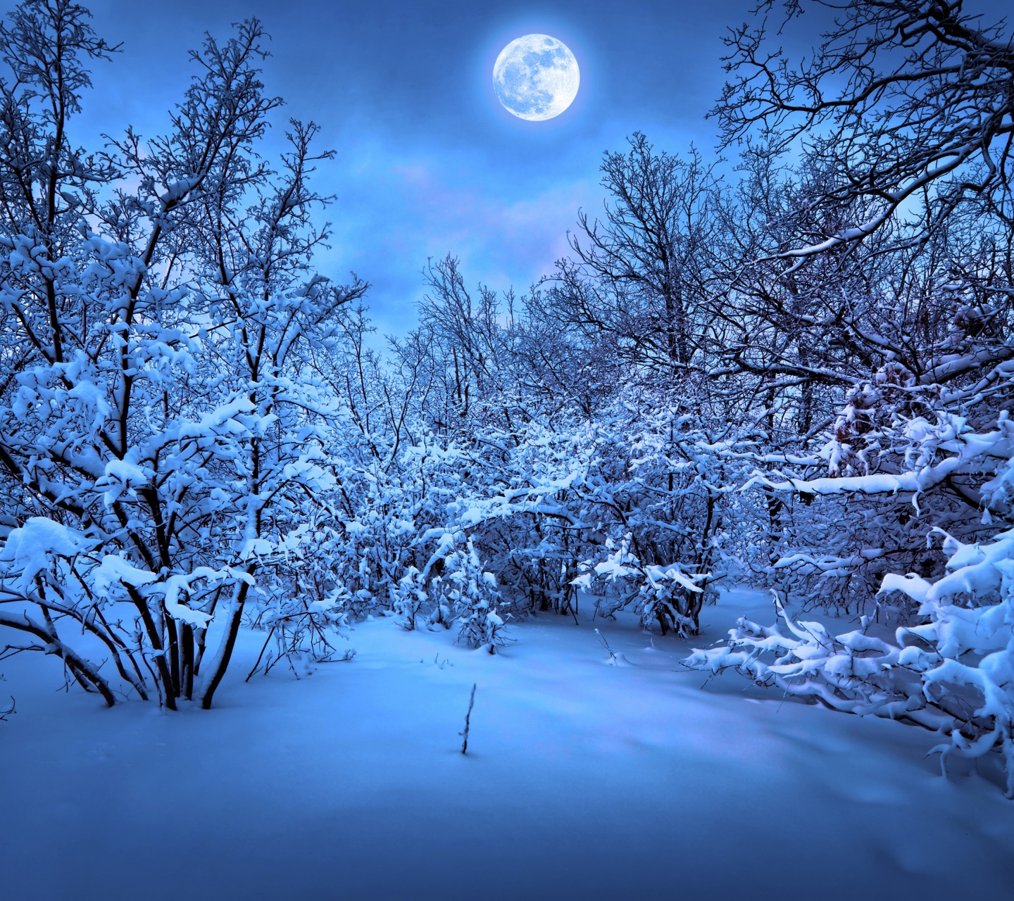 Moonlight On The Snowy Woods