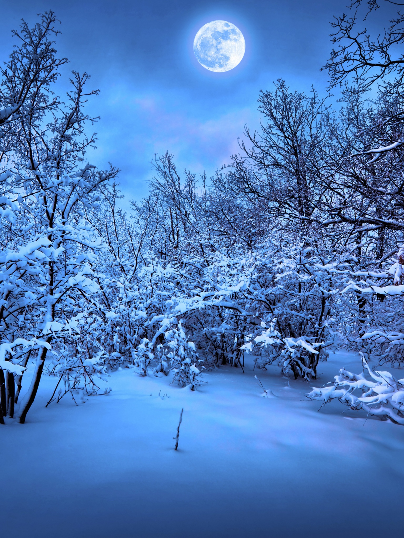 Moonlight On The Snowy Woods